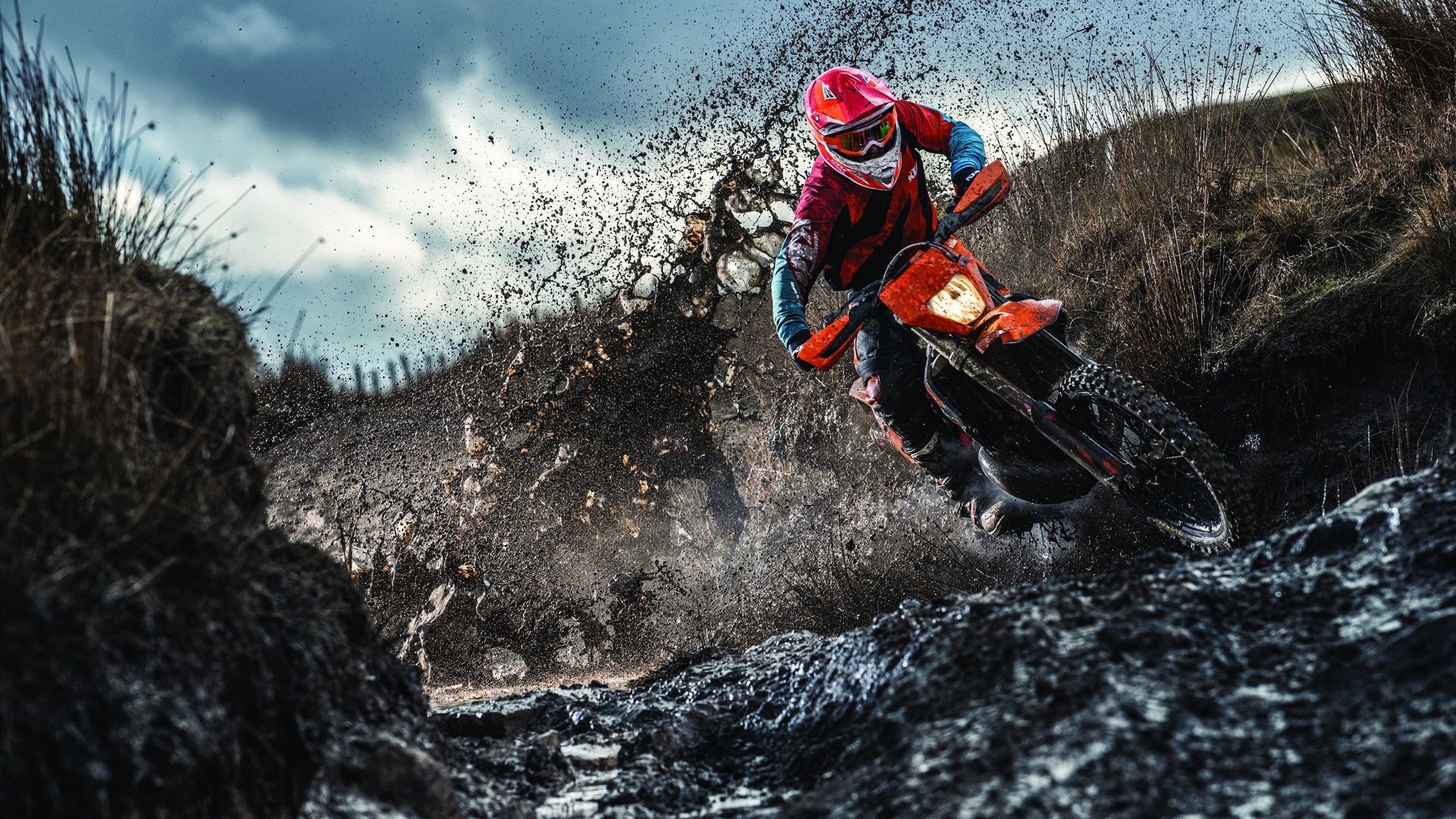 武切维奇在焦点战证明自己，活塞打穿新疆队—一场跨越篮球世界的对话